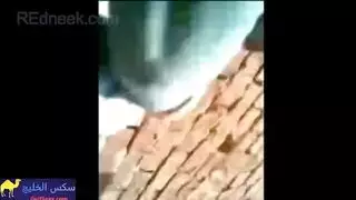 امرأة عراقية جميلة تمارس الجنس