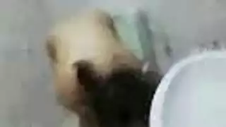 لعب عربي مثير على مجانا كاميرا ويب العاب