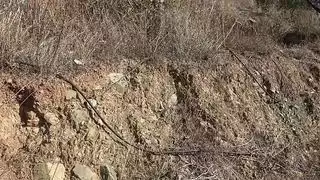 خيال خارجي: ربيب يلتهم شعر امرأة تركية ناضجة